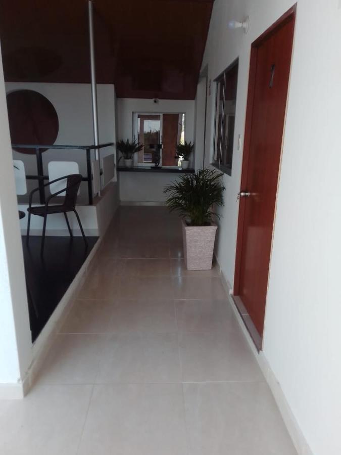 Host Casa Don Arturo Homestay *
