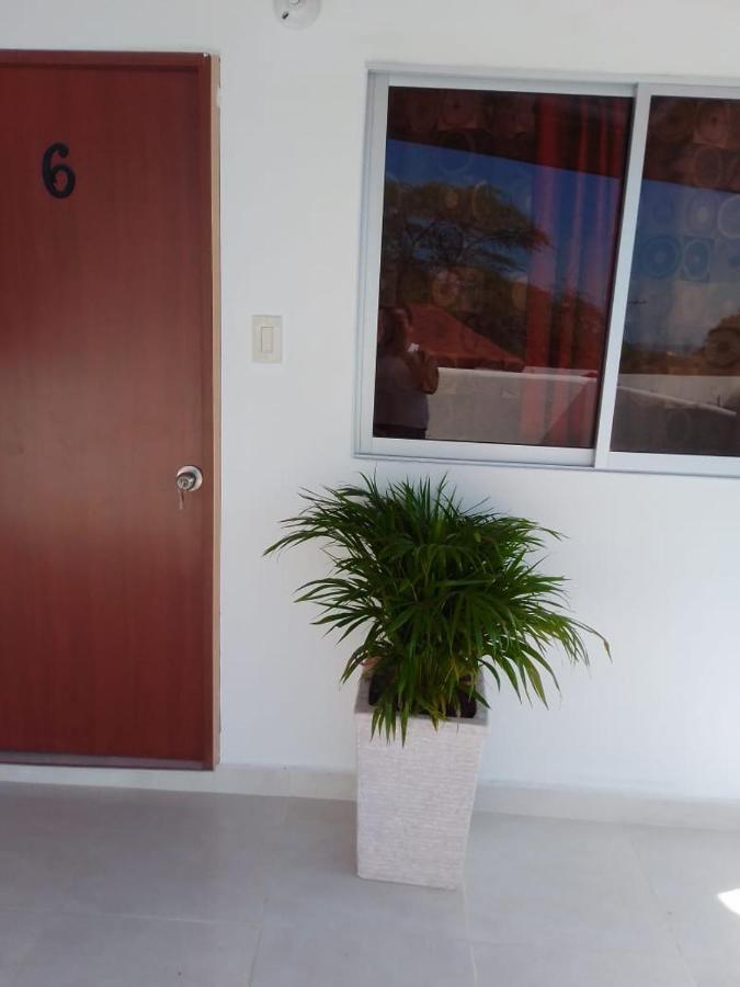Homestay Host Casa Don Arturo *